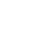 Icon Home