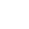 Icon Store