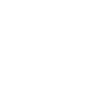 icon Blog