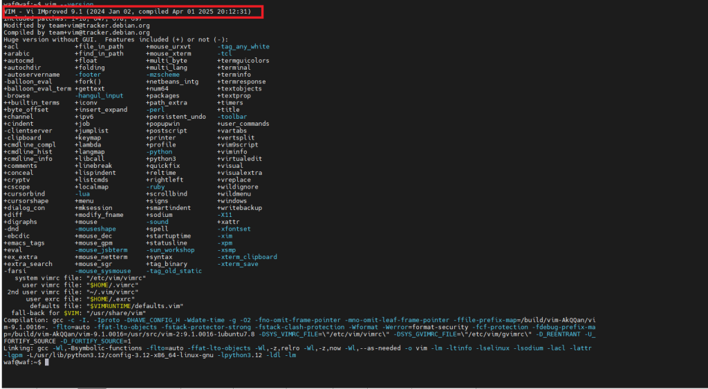 kiểm tra version của vim