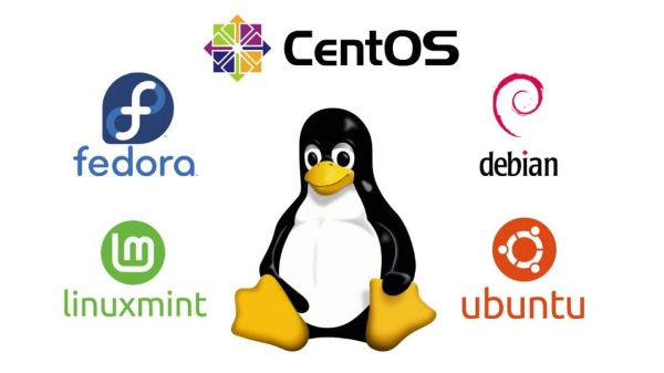 Hệ điều hành Linux là gì? So sánh Linux và Windows, có nên chuyển sang ...