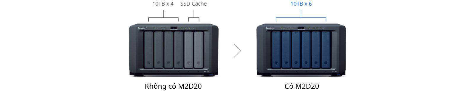 Synology M2D20