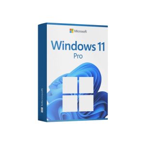 License Windows 11 Pro